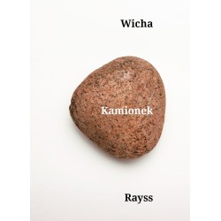 Kamionek Marcin Wicha...