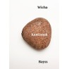 Kamionek Marcin Wicha Agnieszka Rayss